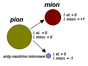 Rozpad pionu i liczby leptonowe