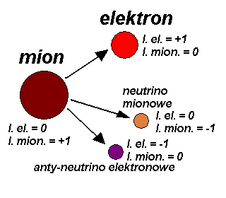 Rozpad mionu i liczby leptonowe