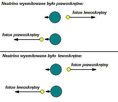 Foton wyemitowany ze wzbudzonego samaru i jego skrętność