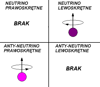 Neutrino jest lewoskrętne, a anty-neutrino prawoskrętne