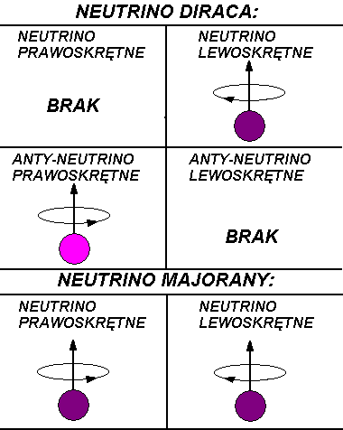 Neutrina Diraca i Majorany