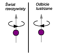 Odbicie lustrzane kręcącego się neutrina