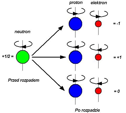 Zasada zachowania momentu pędu w rozpadzie beta
