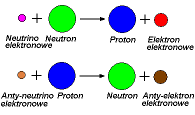 Powtórne oddziaływanie neutrin