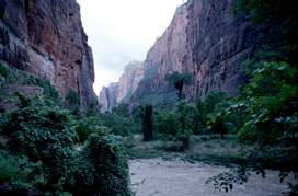 Zion Canyon