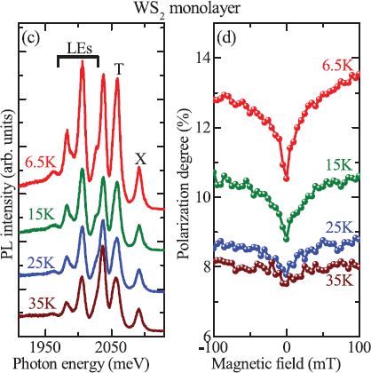 FIPE effect in WS2