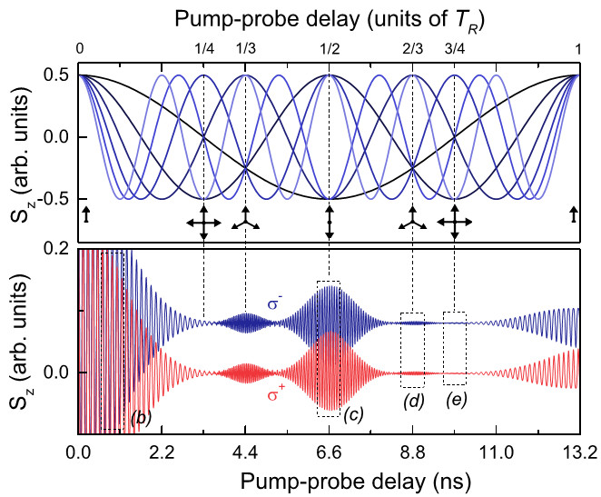 Multi-mode electron spin precession