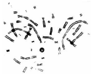 An example of...